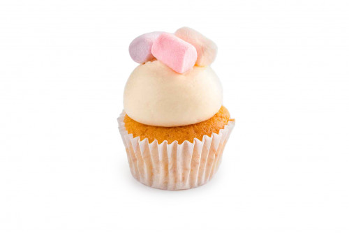Toasted  Marshmallow Mini cupcake